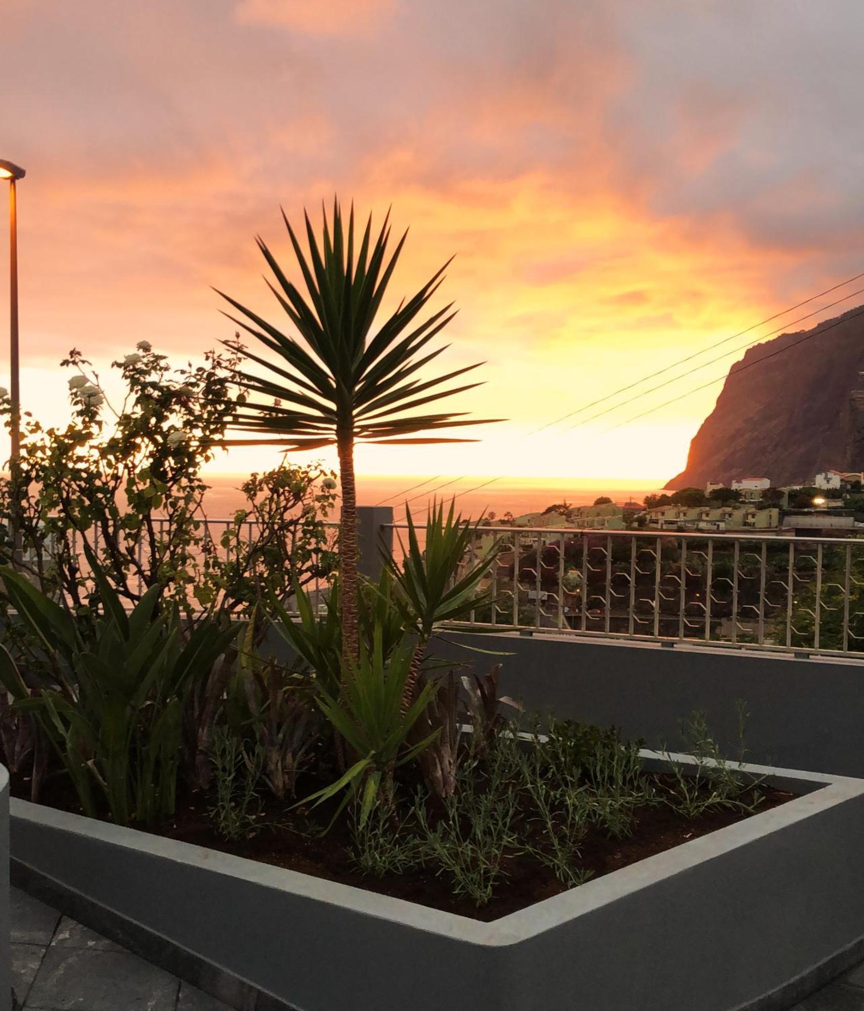 Oasis Suites - Funchal Buitenkant foto
