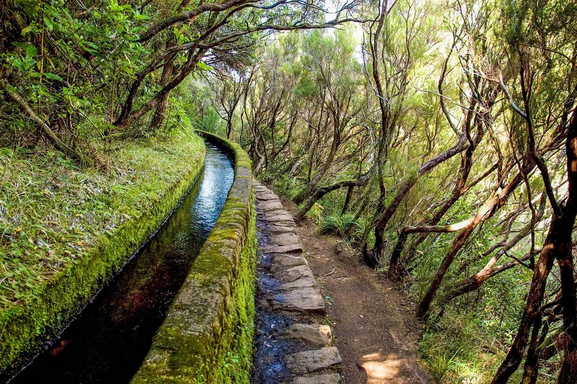 Oasis Suites - Funchal Buitenkant foto